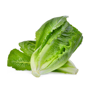  กรีนคอส (Green Cos)