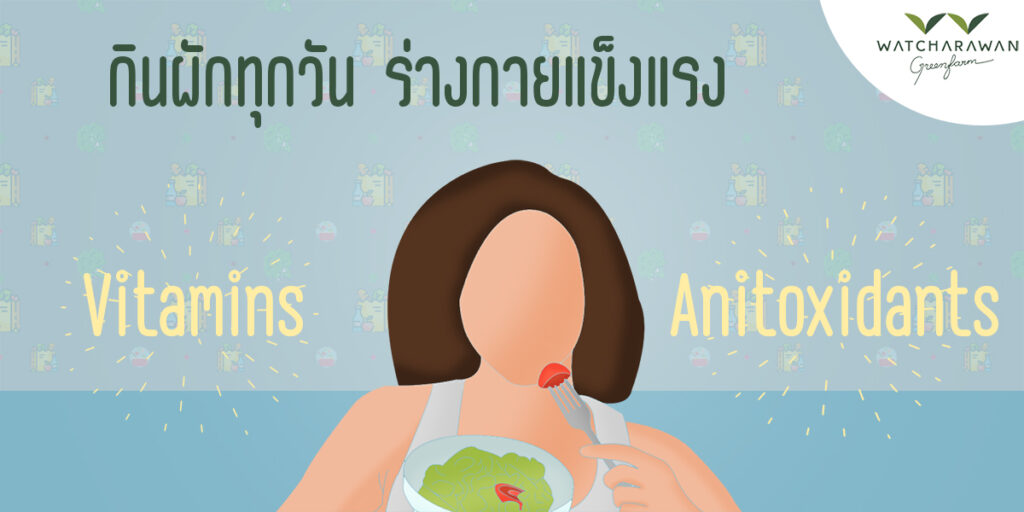 กินผักทุกวัน ร่างกายแข็งแรง